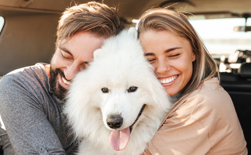 Help, mijn hond stinkt!